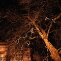 test2