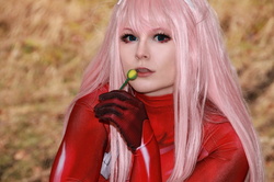IMG 0226 pp