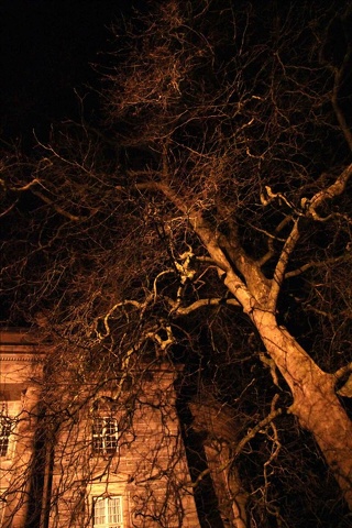 test2.JPG